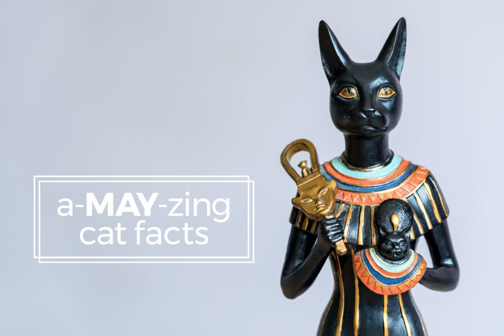 egyptian cat sculpture - a-may-zing cat facts