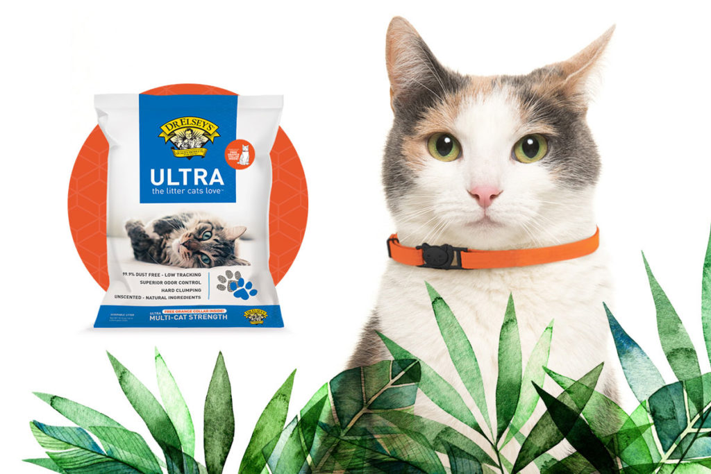 Orange collars in Dr. Elsey's cat litter promo