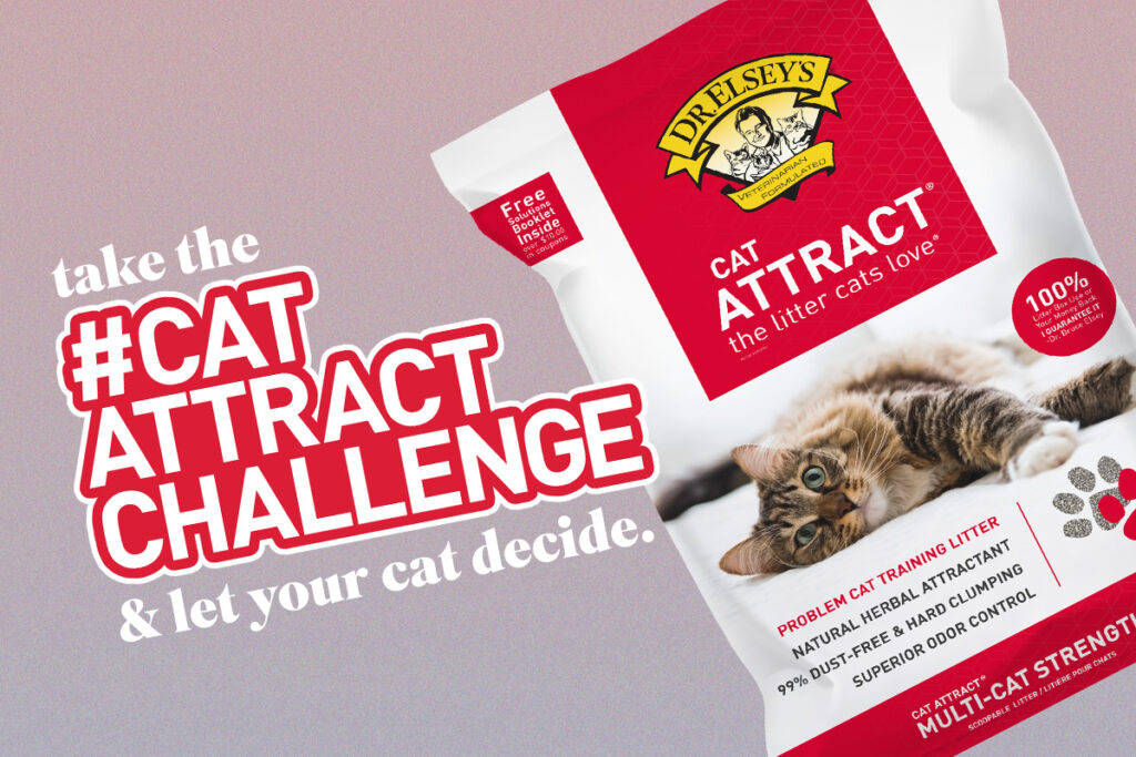 take the #catattractchallenge & let your cat decide.